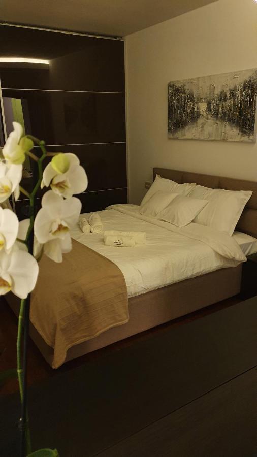 Harmony Apartmani 阿然德洛维克 外观 照片